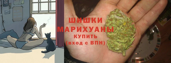 PSILOCYBIN Михайловск