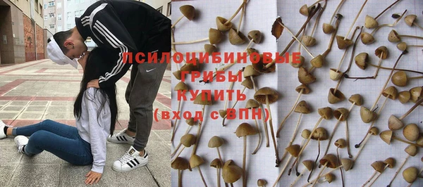 винт Сатка