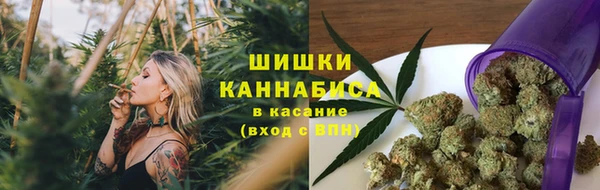 PSILOCYBIN Михайловск