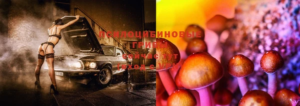 PSILOCYBIN Михайловск